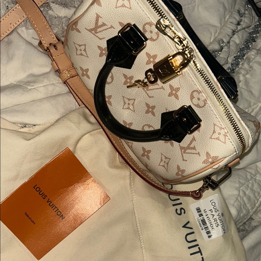 Louis Vuitton Cream and Black Mini Bag with Monogram